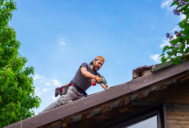 Best Green or Eco-Friendly Roofing Solutions  in Dillon, SC